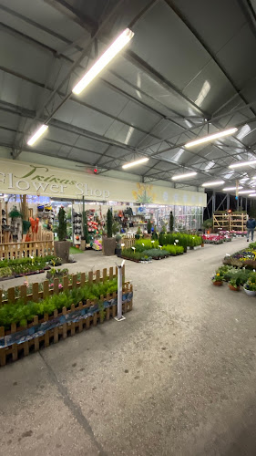 Opinii despre Άνθη Φυτά Γκίκας în Ξάνθη - Ανθοπωλείο