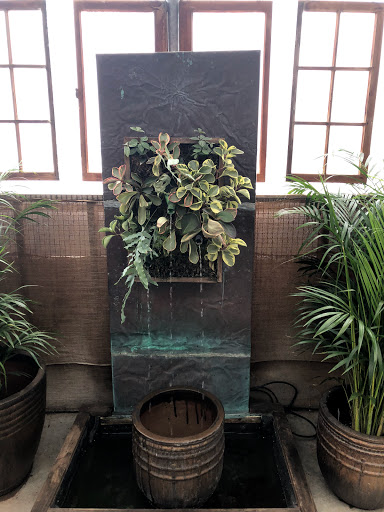 Greenhouse «Wentworth Greenhouses», reviews and photos, 141 Rollins Rd, Rollinsford, NH 03869, USA