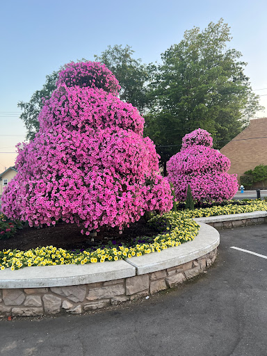 Park «Lynden City Park», reviews and photos
