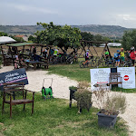 Photo n°3 de l'avis de Hans.i fait le 22/09/2021 à 14:29 sur le  Osteria La Fisarmonica - Trattoria Tipica Marchigiana à Castelfidardo