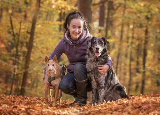 Kleintierpraxis Schnaittenbach - Tierärztin Nicole Martin unter Schnaittenbach, Bayern