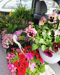 Lowe's Garden Center - Photo 9 - Car repair in San Jose, CA, San Jose