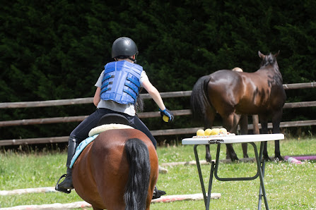 Equi-support Banhagestraat 40, 3052 Oud-Heverlee, Belgique