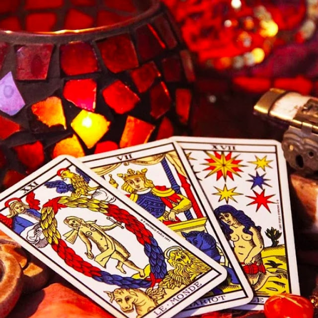 Dominique Martin Predicta