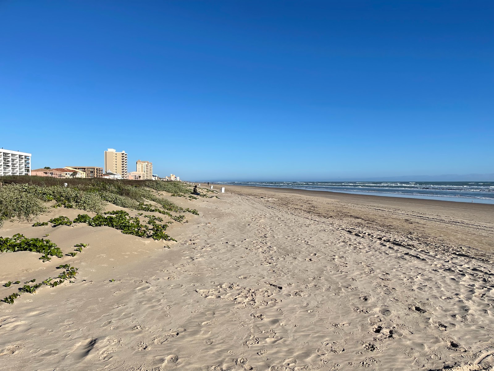 Fotografija South Padre Island beach priljubljeno mesto med poznavalci sprostitve