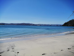 Blanca beach'in fotoğrafı vahşi alan