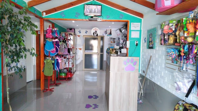 Clínica Veterinaria Pata's - Coquimbo