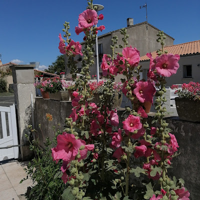 Asturienne Rochefort - Matériaux de couverture pour toitures à Tonnay-Charente