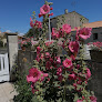 Asturienne Rochefort - Matériaux de couverture pour toitures Tonnay-Charente