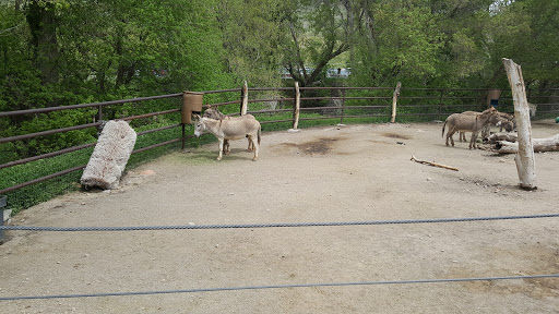 Zoo «Hogle Zoo», reviews and photos, 2600 Sunnyside Ave S, Salt Lake City, UT 84108, USA