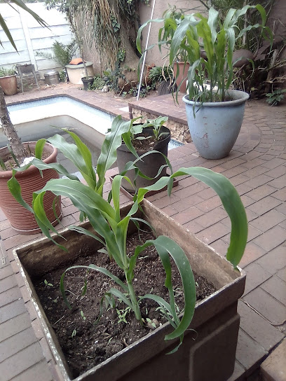 The Gardener Grey Mpofu