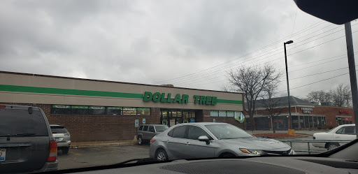 Dollar Store «Dollar Tree», reviews and photos, 4101 Dempster St, Skokie, IL 60076, USA