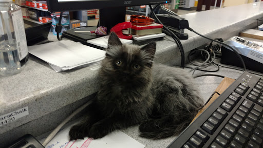 Building Materials Store «Talbert Building Supply», reviews and photos, 3101 Hillsborough Rd, Durham, NC 27705, USA