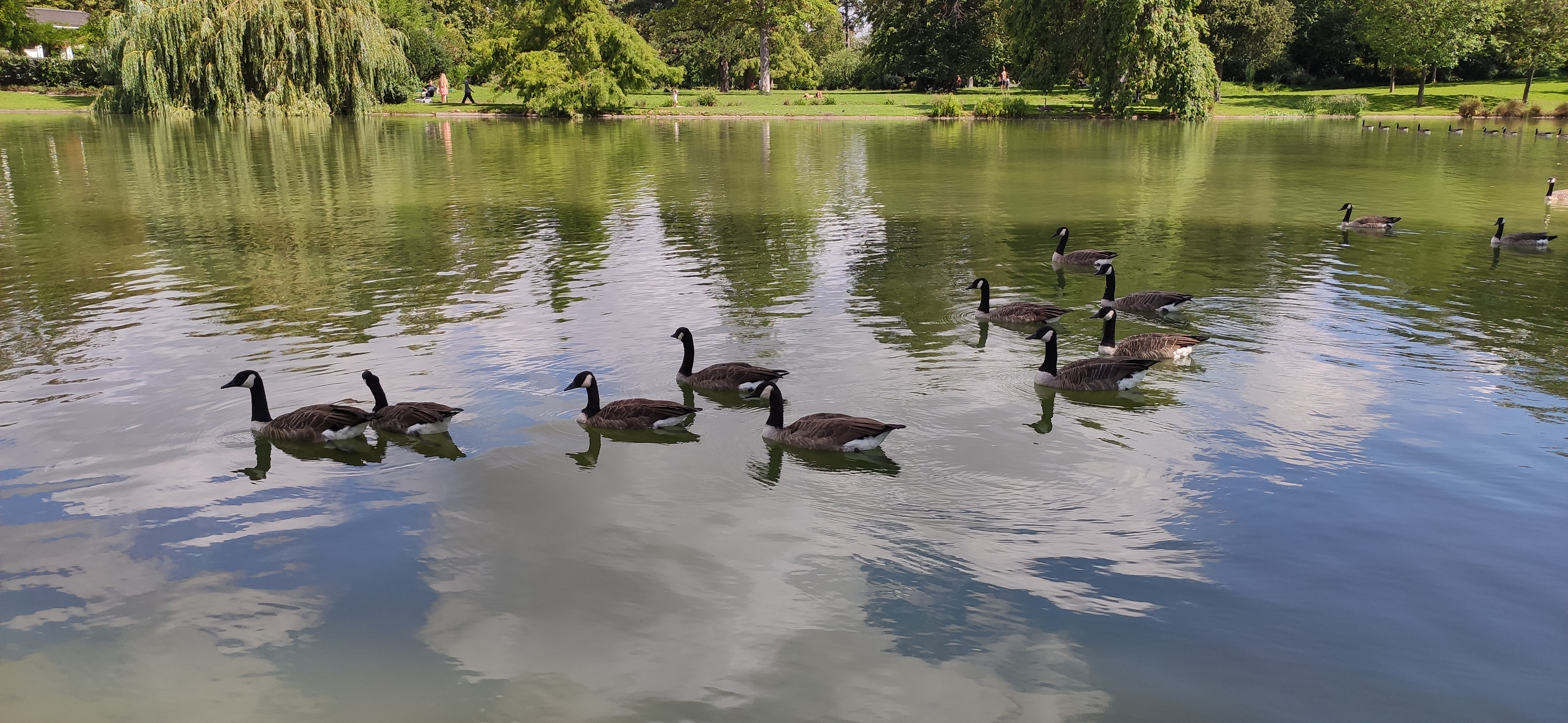 Photo n° 17 de l'avis de Claude.Q fait le 15/08/2023 à 14:52