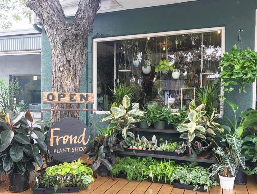 Frond Plant Shop