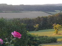 Parc naturel régional du Morvan du RESTAURANT L'ÉTERNEL- Hôtel de la Poste et du Lion d'Or à Vézelay - n°1