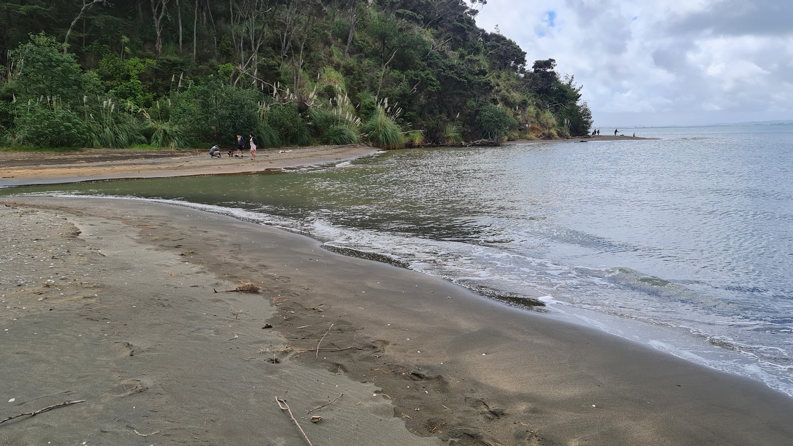 Fotografie cu Mosquito Beach amplasat într-o zonă naturală