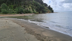 Foto di Mosquito Beach ubicato in zona naturale