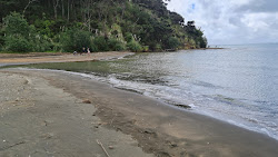 Mosquito Beach'in fotoğrafı - rahatlamayı sevenler arasında popüler bir yer