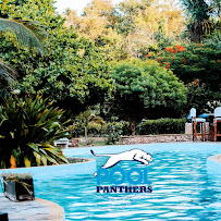 Pool Panthers Pool Service Corp - Photo 7 - Car repair in , Coral Springs