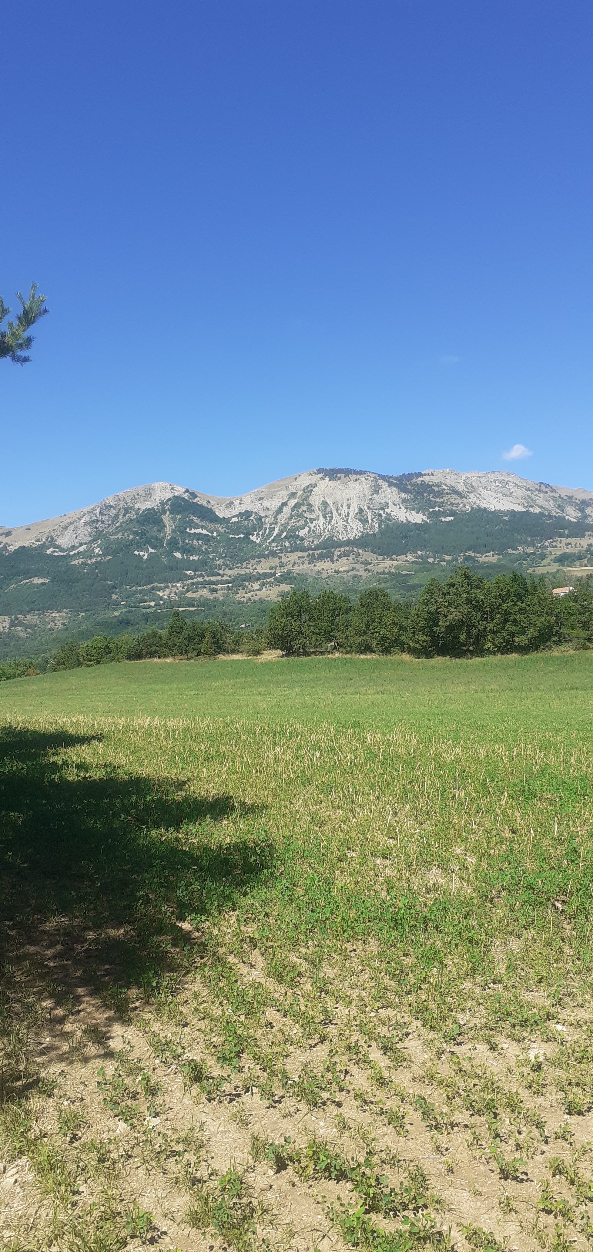 Photo n° 2 de l'avis de Khrystel. fait le 27/08/2022 à 10:37