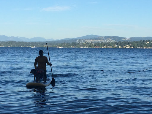 Park «Madrona Park», reviews and photos, 853 Lake Washington Blvd, Seattle, WA 98122, USA