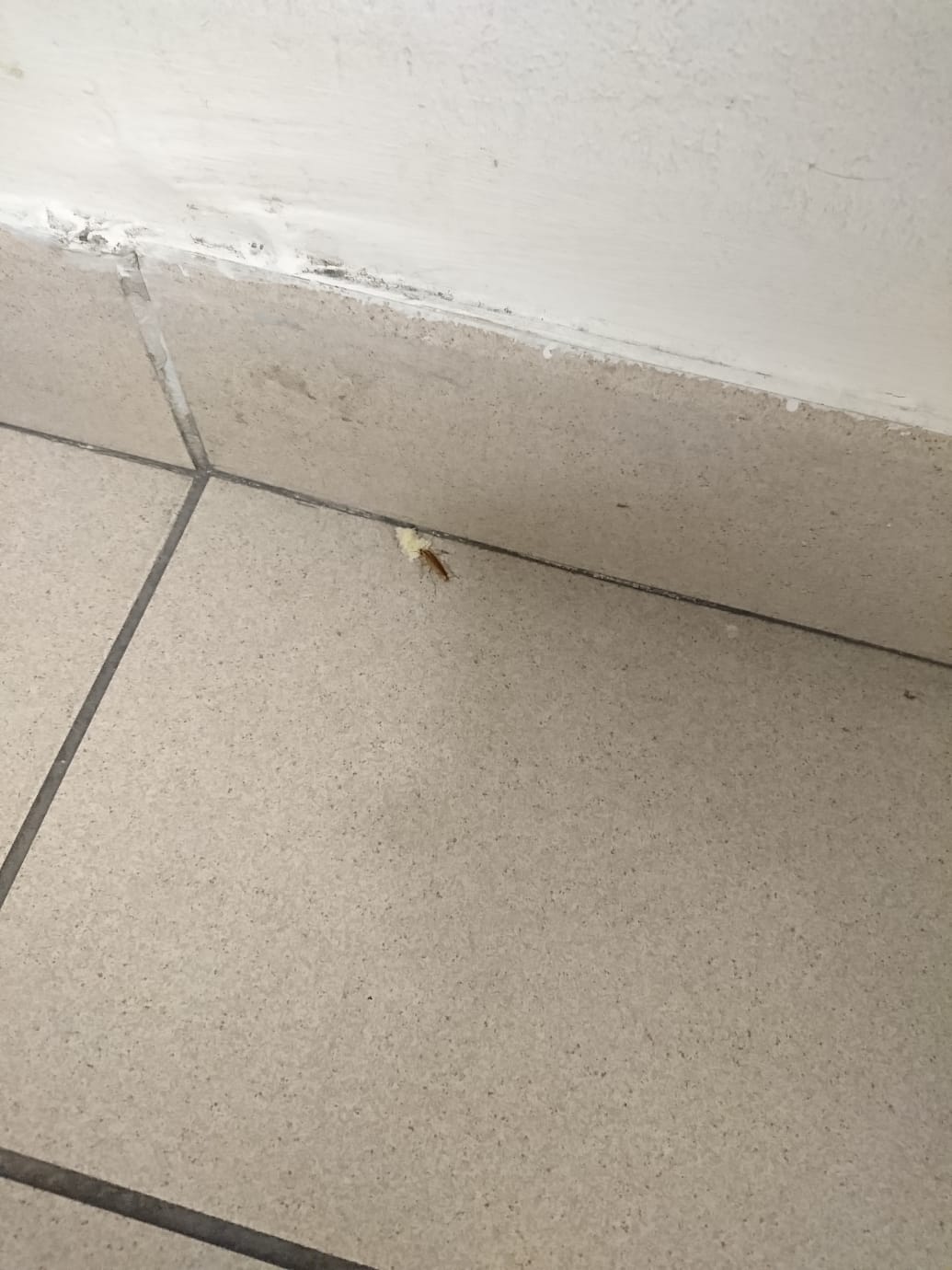 Photo n° 4 de l'avis de Alice.o fait le 28/02/2019 à 14:22