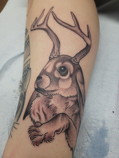 Tattoo Shop «Fat Cat Tattoo», reviews and photos, 460 CA-49, Sutter Creek, CA 95685, USA