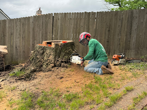Philadelphia Stump Grinding Service