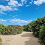 Photo n°7 de l'avis de Romina. fait le 05/09/2023 à 16:22 sur le  Marina Rey Beach Resort à Costa Rei