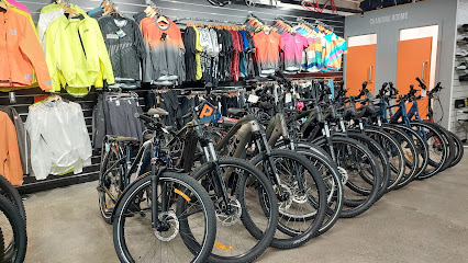 Pedal Project 'Wellingtons bike Shop'
