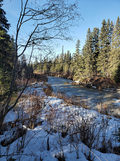 Whitemud Park