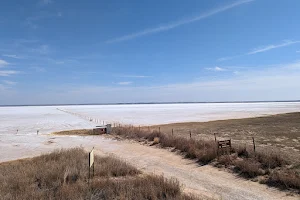 Great Salt Plains Selenite Digging Area image