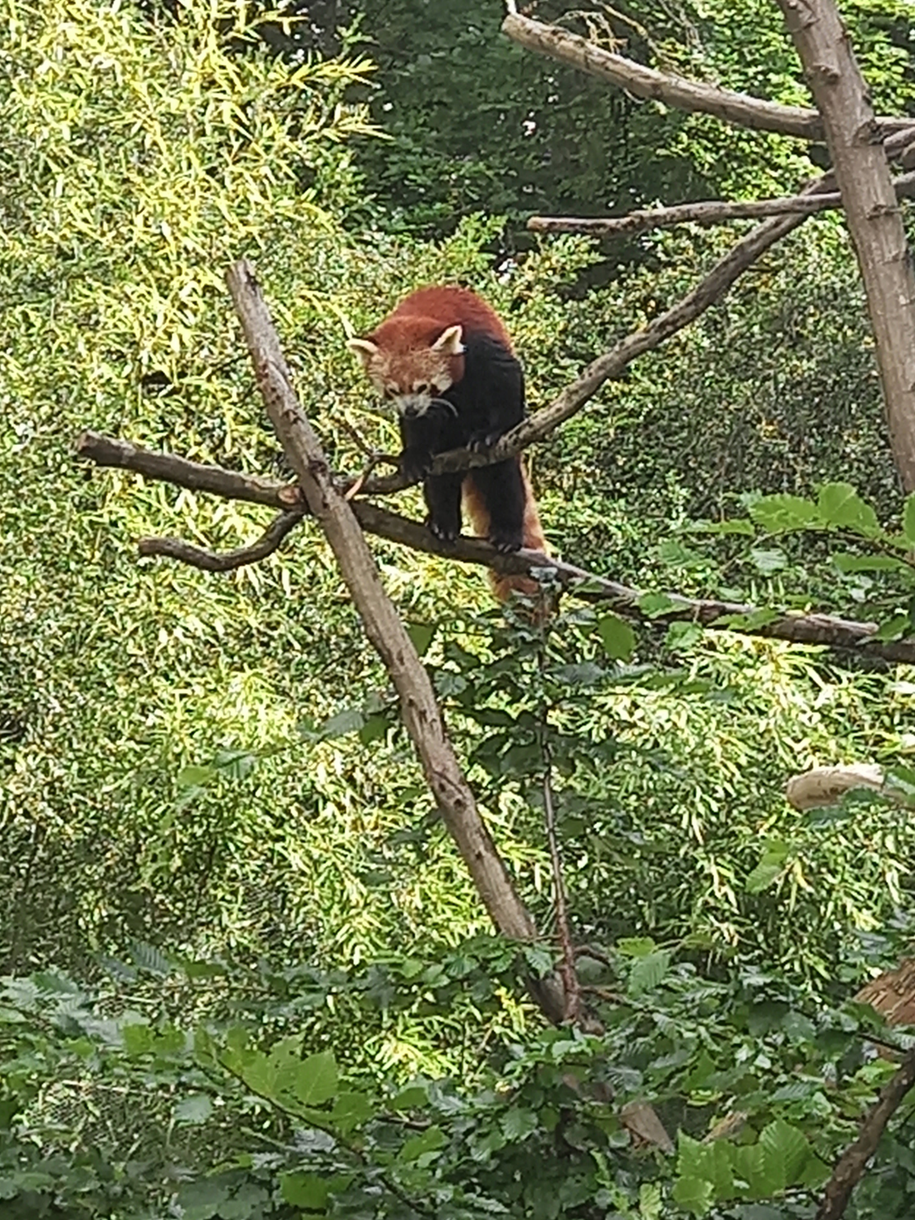 Photo n° 1 de l'avis de Ines.a fait le 20/07/2022 à 18:03