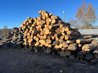 Twisted Tree Landscaping - Photo 3 - Car repair in , Reading