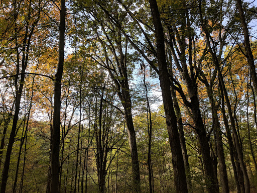 Nature Preserve «Jackson Bog State Nature Preserve», reviews and photos, 7984 Fulton Dr NW, Massillon, OH 44646, USA