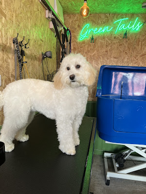 Green Tails Dog Grooming