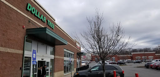Dollar Store «Dollar Tree», reviews and photos, 806 Pelham Pkwy #4, Pelham, NY 10803, USA