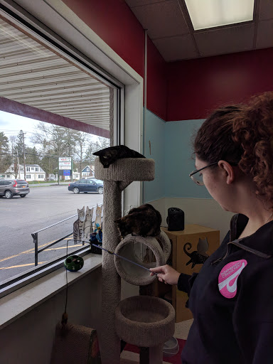 Pet Supply Store «Healthy Pet Center», reviews and photos, 237 N Greenbush Rd, Troy, NY 12180, USA