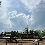 Photo n°2 de l'avis de Maria.i fait le 04/06/2023 à 14:08 sur le  Agriturismo Fattoria degli Animali La Collinara à Comacchio