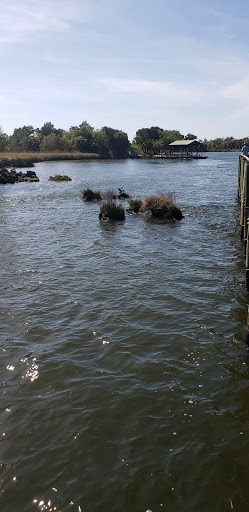 Thrift Store «Crystal River Super Thrift Store», reviews and photos, 820 S Suncoast Blvd, Homosassa, FL 34448, USA