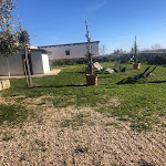 Photo n°8 de l'avis de Fedez. fait le 31/12/2023 à 12:07 sur le  Tenuta COPPA di Ruvo di Puglia à Ruvo di Puglia