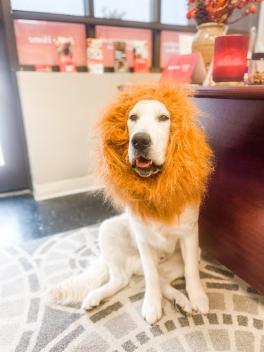 Insurance Agency «Ashley Berry - State Farm Insurance Agent», reviews and photos