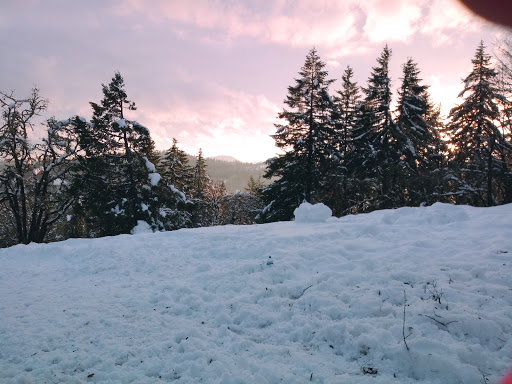 Park «Willamette Heights Park», reviews and photos, 508 Valley View, Springfield, OR 97477, USA