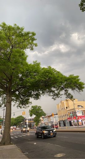 Dollar Store «Dollar Tree», reviews and photos, 131-09 101st Ave, Queens, NY 11419, USA