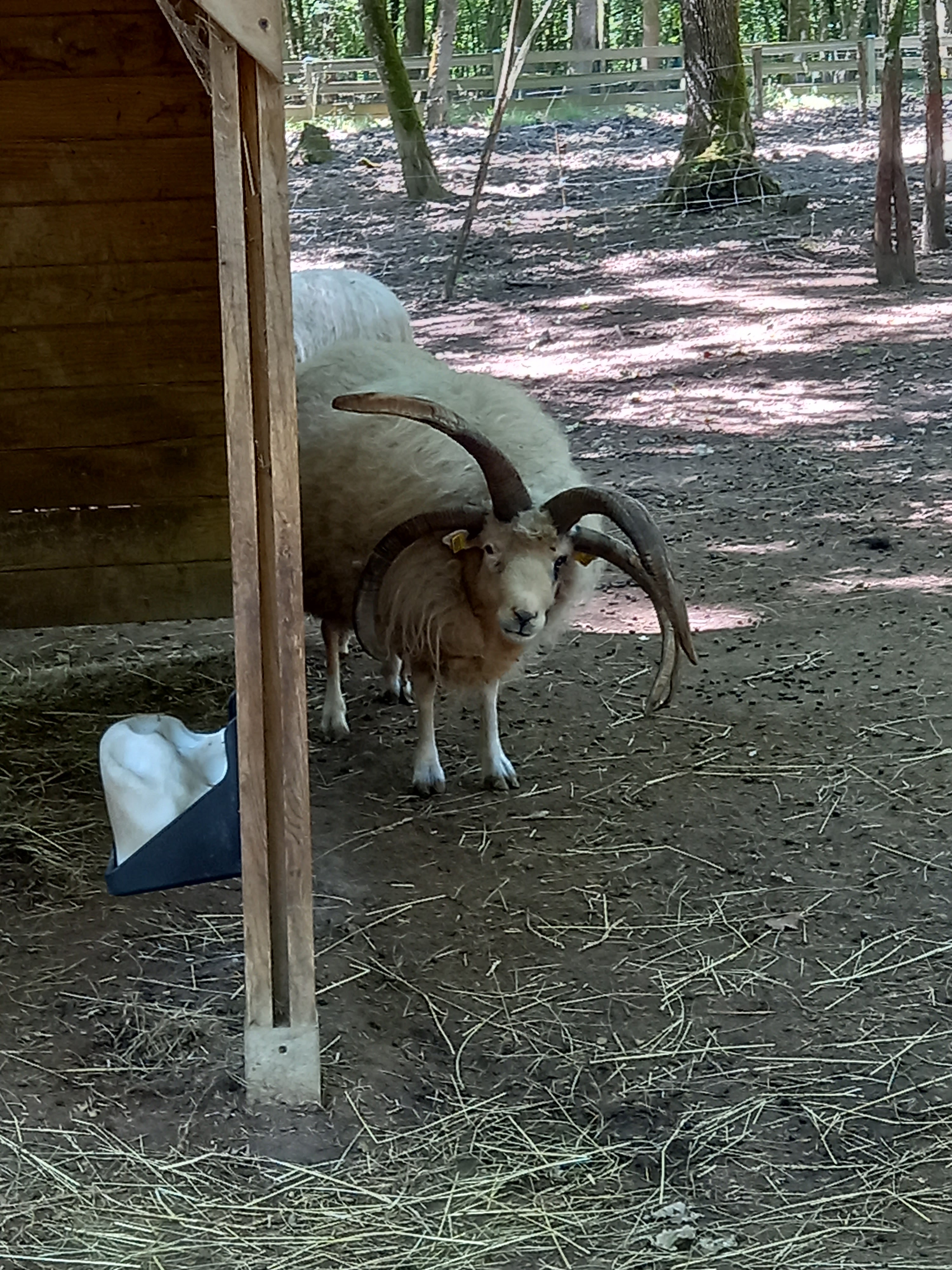 Photo n° 3 de l'avis de Mimi. fait le 11/06/2022 à 11:26