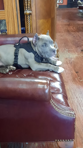 Barber Shop «RustyRazor Barbershop», reviews and photos, 132 N Woodland Blvd, DeLand, FL 32724, USA