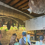 Photo n°2 de l'avis de Joyce.a fait le 11/09/2023 à 09:07 sur le  Il Crudo à Pisa