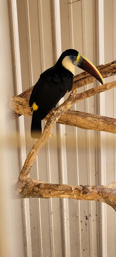 Zoo «Tupelo Buffalo Park & Zoo», reviews and photos, 2272 Coley Rd, Tupelo, MS 38801, USA