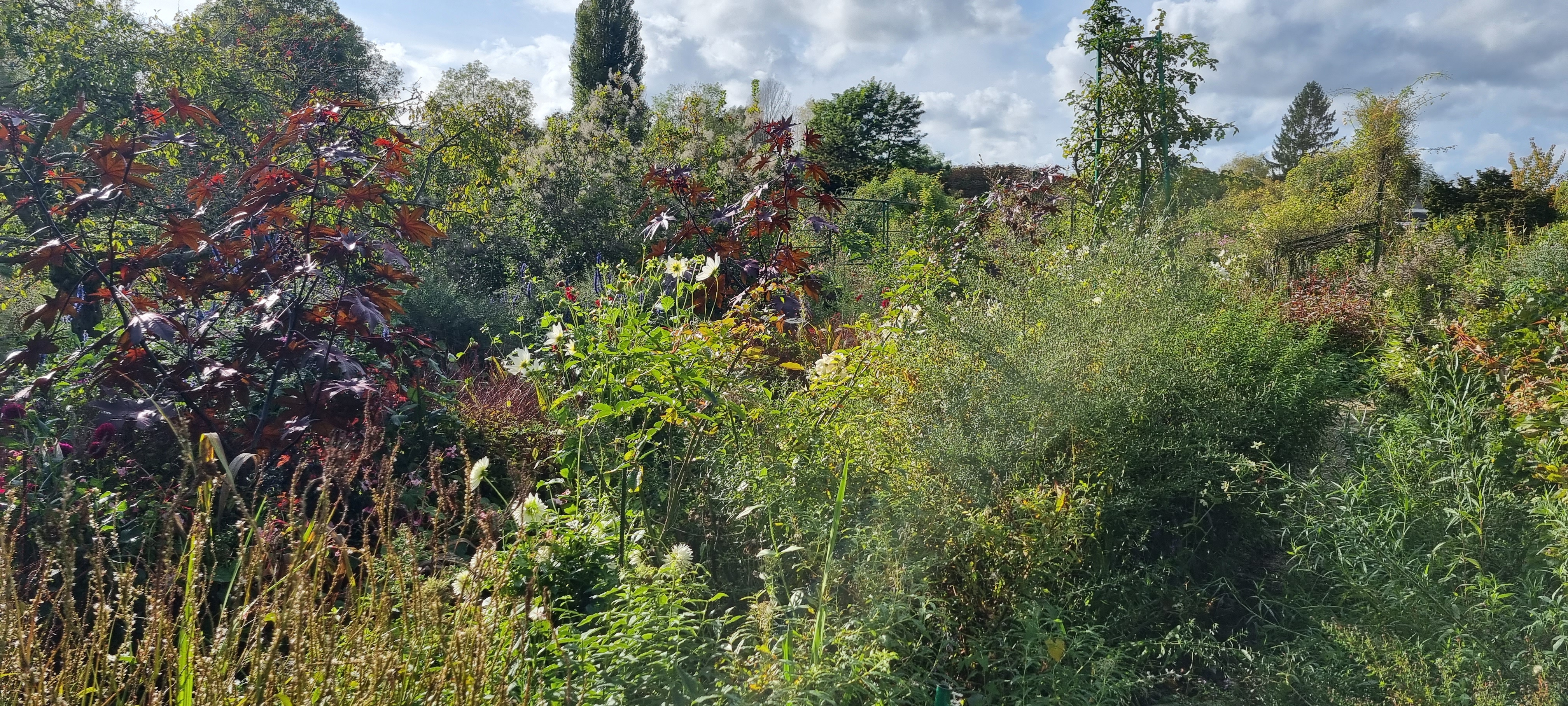 Photo n° 45 de l'avis de lemagicien40. fait le 03/11/2023 à 07:28